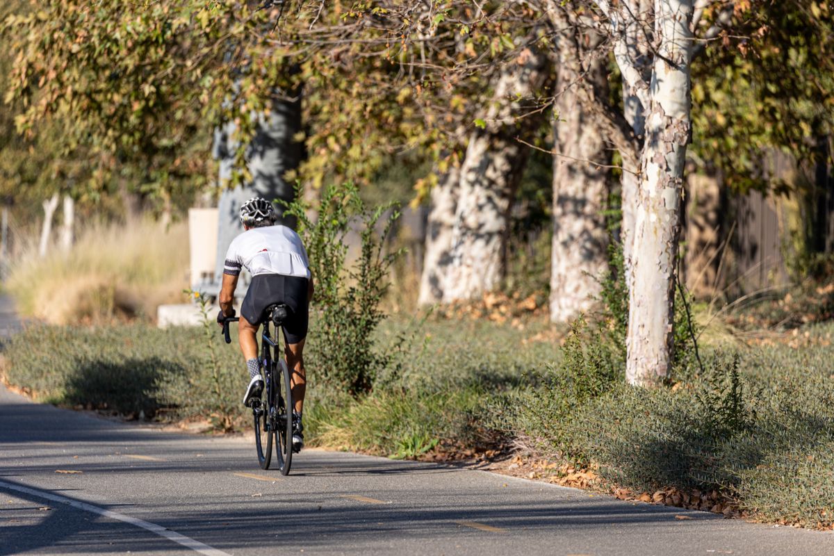 Ciclista che pedala lungo un viale alberato in un parco in autunno